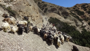Фото нашего гида Лики Майстровой