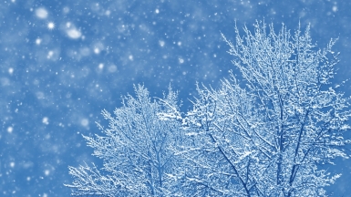 Фото: alenalihacheva, depositphotos.com