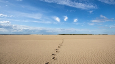 Фото нашего гида Михаила Верёвченко