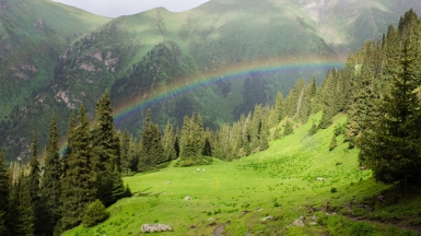 Фото: Жидков Анатолий