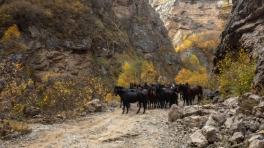 Фото нашего гида Михаила Верёвченко