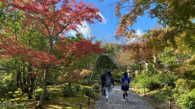 Фото Anni W,  unsplash.com