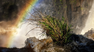 Источник фото: Tanozzo on VisualHunt.com