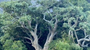 Фото: наш гид Алексей Шорец