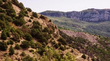 Фото: Anastasiia Malai, unsplash.com