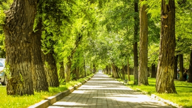 Фото: Vigor Poodo, unsplash.com