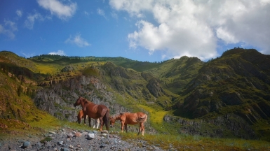 Фото нашей Странницы Светланы Юшмановой