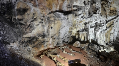 Фото: Sergey Korovkin 84, wikimedia.org