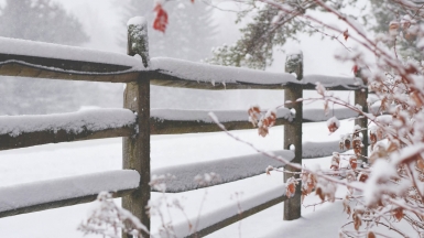 Фото: Tim Gouw, unsplash.com