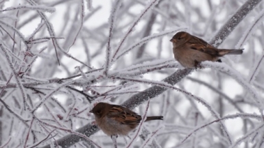 Фото из архива Клуба