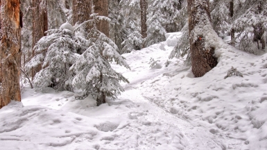 Фото: James Wheeler on Unsplash