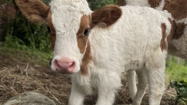 Фото нашей Странницы Анны Солдатовой
