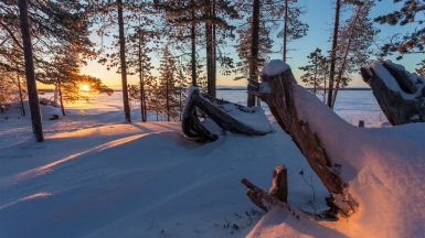 Фото из архивов Клуба