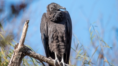 Photo by Trac Vu on Unsplash