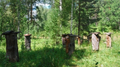 Фото с сайта ФГБУ «Государственный заповедник «Шульган-Таш»