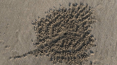 Фото Александра Рыбакова