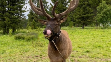 Фото наших Странников