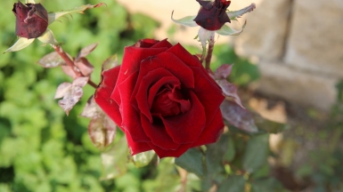 Фото нашего Странника Виктора Веретенова