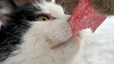 Фото гида Натальи Кислушко