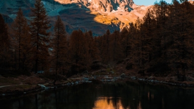 Автор: Composita. Источник: pixabay.com