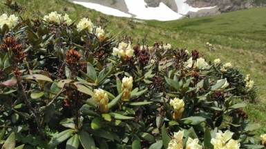 Фото наших Странников