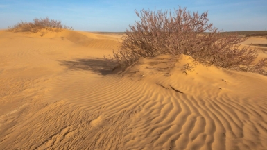 Фото нашего гида Михаила Верёвченко