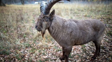 Фото нашего Странника Ильи Кожевникова