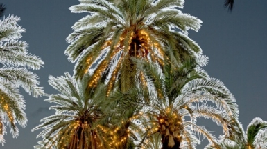 Фото: Carlo Columba, visualhunt.com