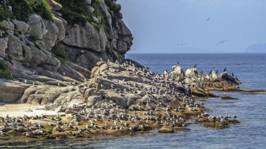 Фото из архива Клуба