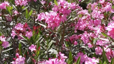 Фото нашего гида Марины Чудновской