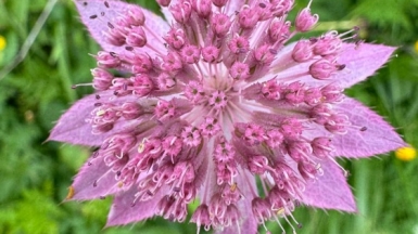 Фото нашей Странницы Ольги Котковой