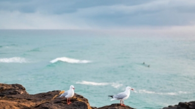 Фото: bailey-mahon on unsplash