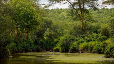 Фото: Leon Pauleikhoff, unsplash.com