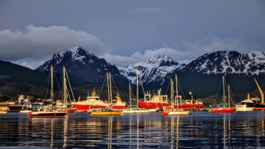 Фото: Diogo Hungria, unsplash.com