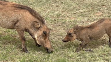 Фото: наш гид Алексей Шорец