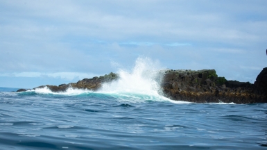 Фото из архива Клуба