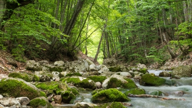 Фото: n.bar, visualhunt.com