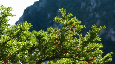 Фото: mutolisp, visualhunt.com