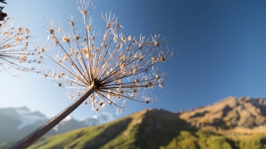 Фото с корпоратива Клуба