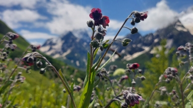 Фото наших Странников