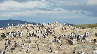 Rodrigo Soldon Souza on VisualHunt 