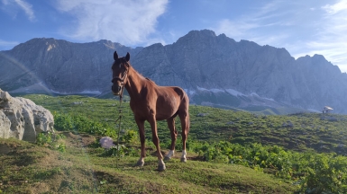 Фото нашей Странницы Натальи Киселёвой