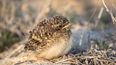 Фото нашего гида Михаила Верёвченко
