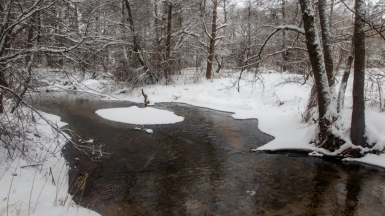 Фото нашего гида Михаила Верёвченко
