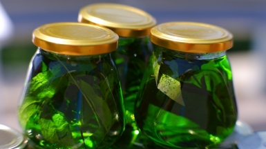 Фото Юрия Гайдидея