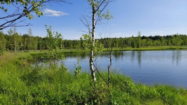 Фото Галины Чудновской