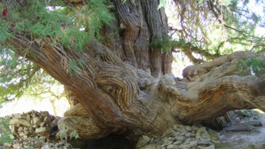 Фото из архива Клуба