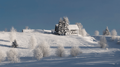 Фото Юрия Овчинникова