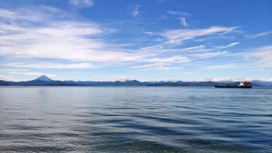 Фото Евгении Скопиной