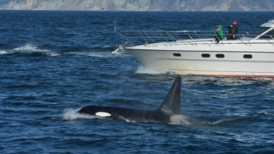 Фото наших Странников